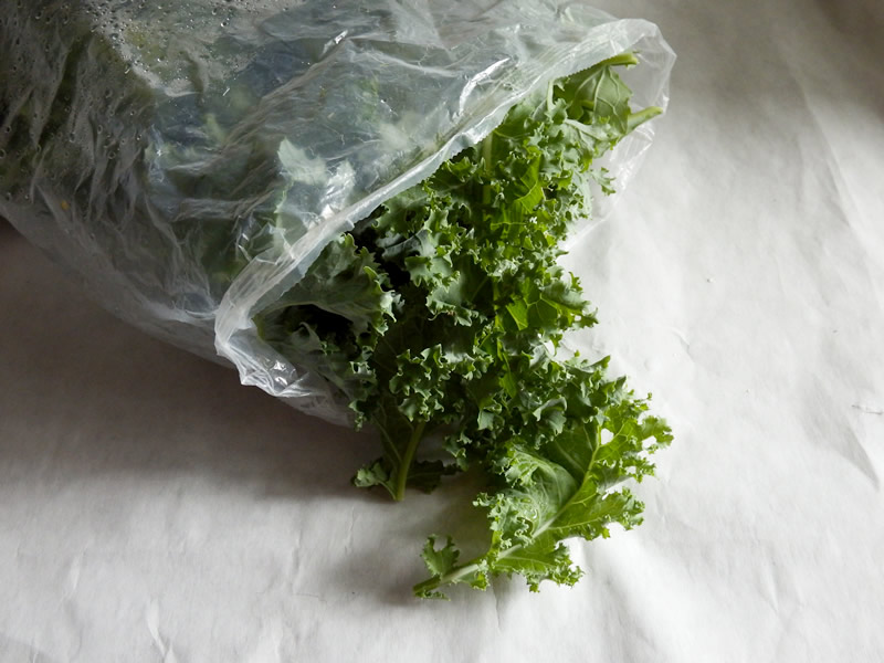 kale stored in cereal box liner