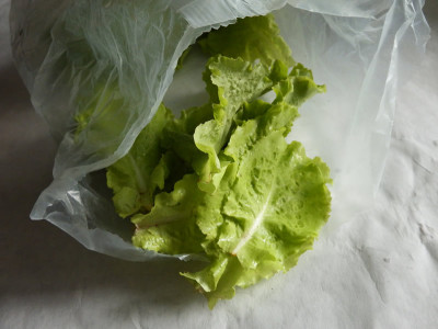 lettuce stored in cereal box liner