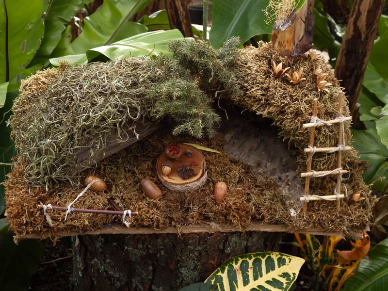 Fairy garden with mosses, stick ladder and miniature food