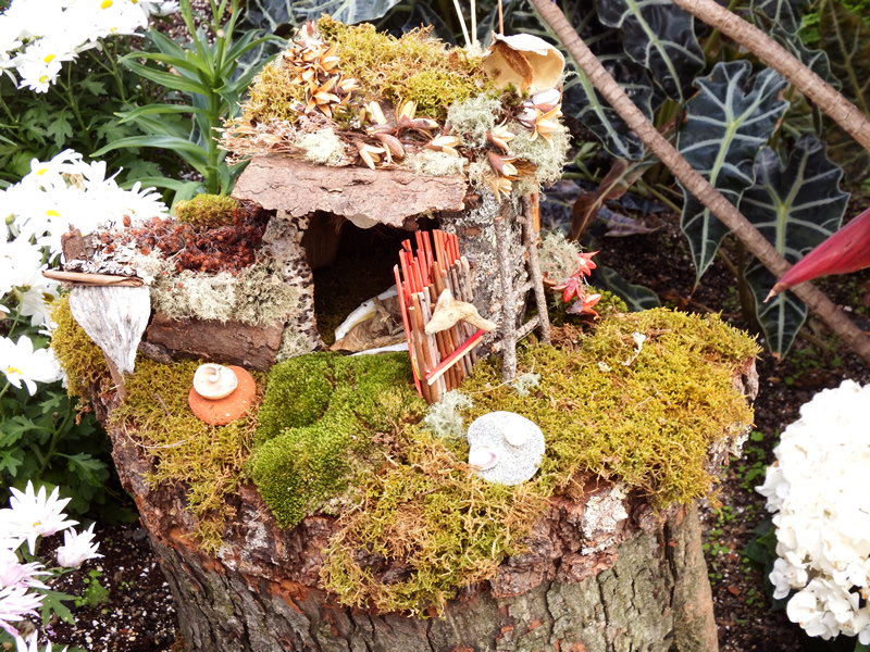 Fairy garden with stick door, moss and milkweed